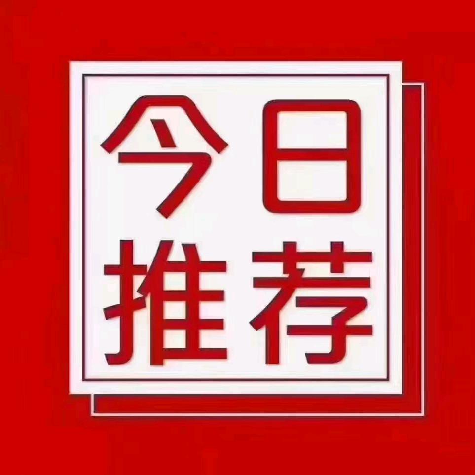 社会，观察员
