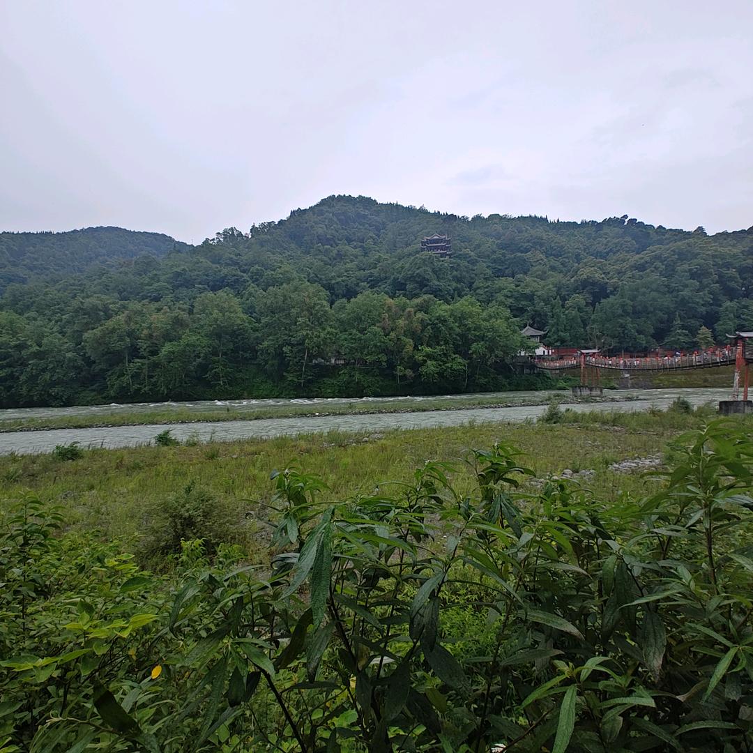 沉默是金