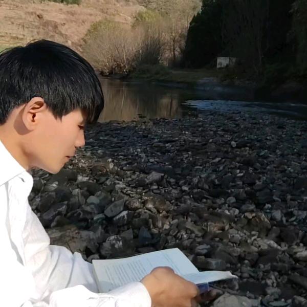 阿雷的乡村日记