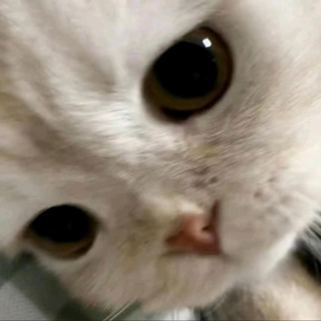 林鱼鱼