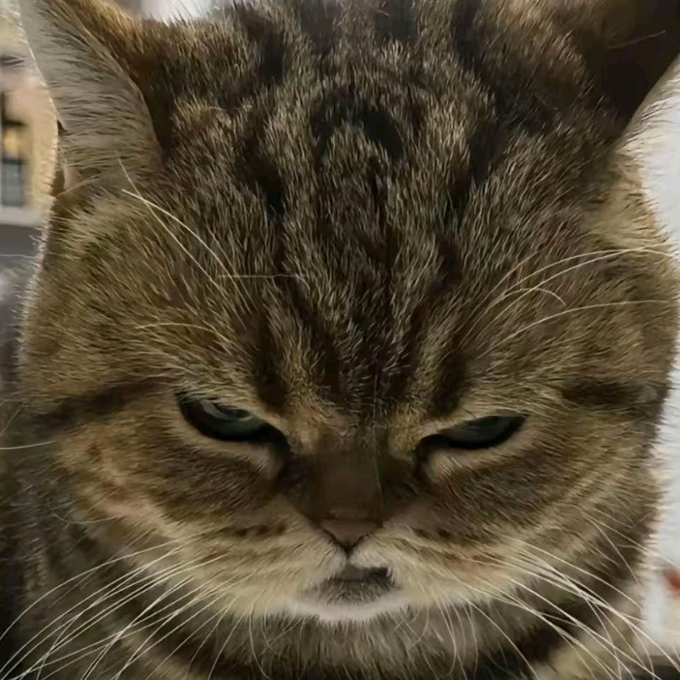 嘻嘻怪我咯