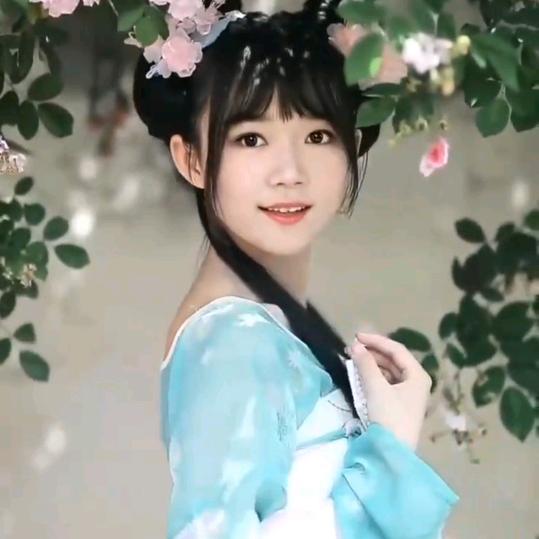 CC宝吖