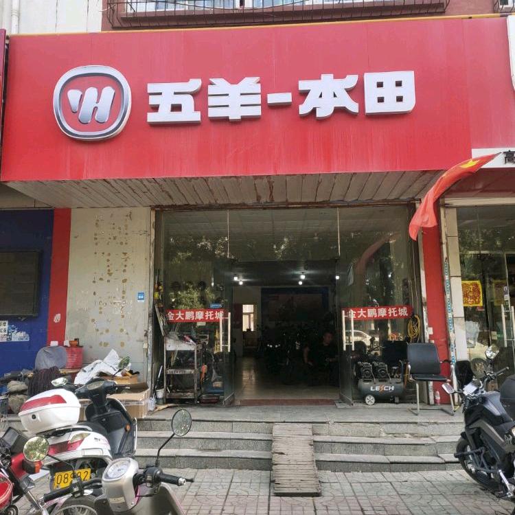 朔州金大鹏