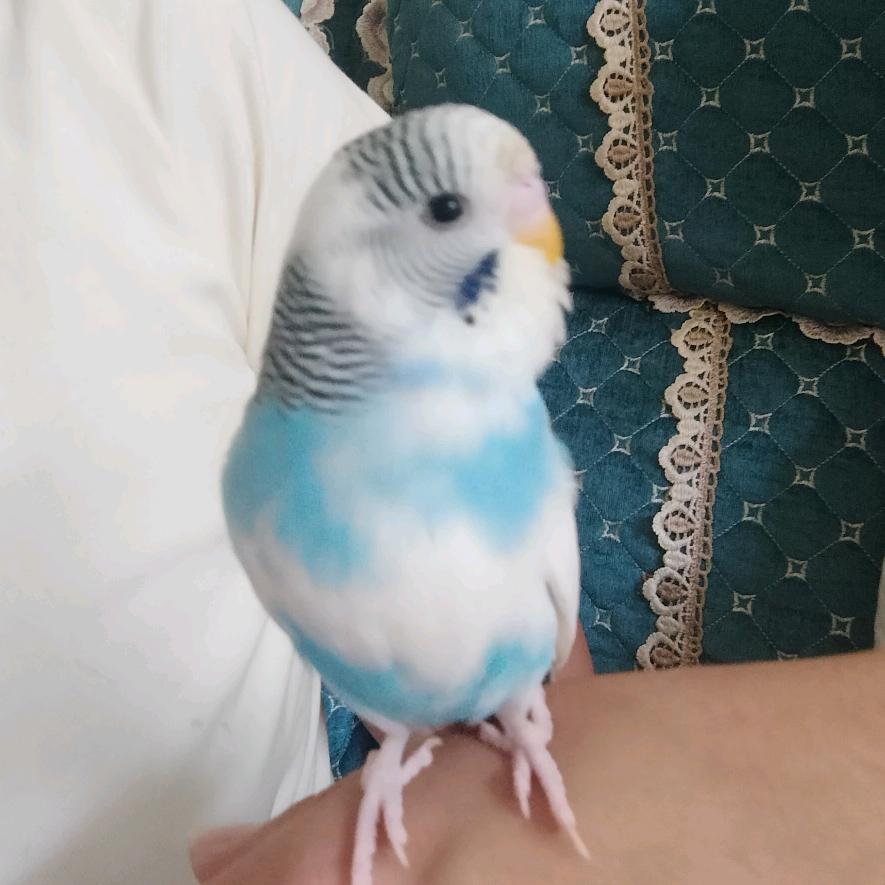 L 互关回关 秒关秒回