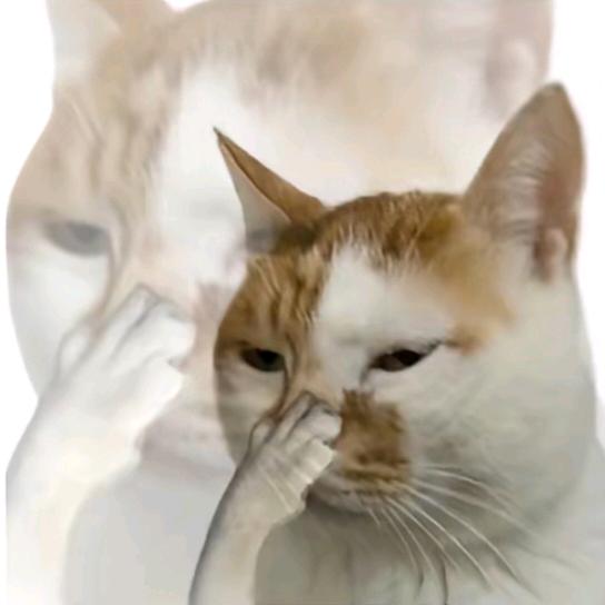 眼里进沙被说模仿佐助