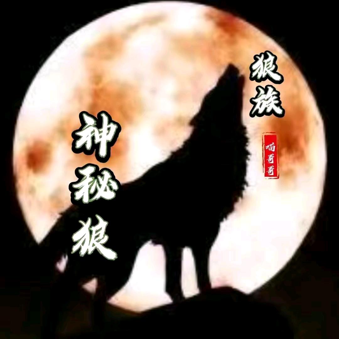 💤華年随风💤