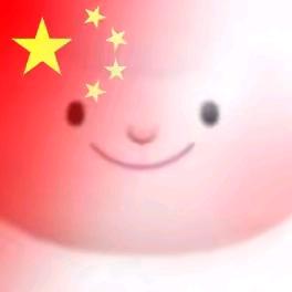 狗狗飞上天