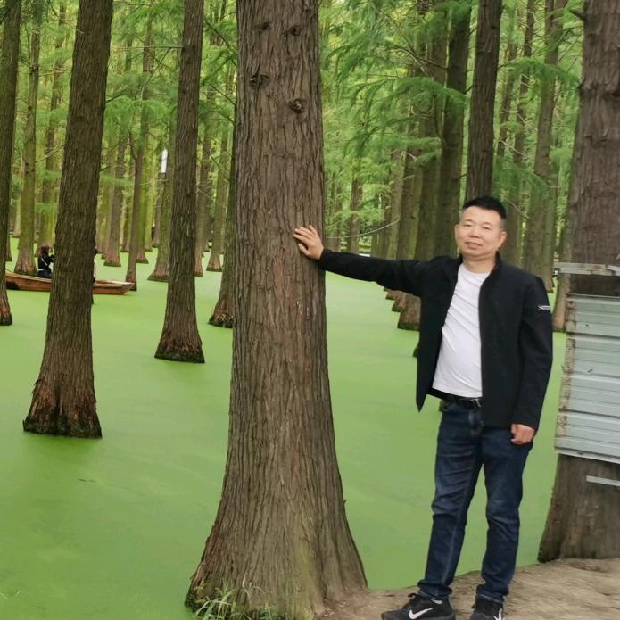 龙飞舞