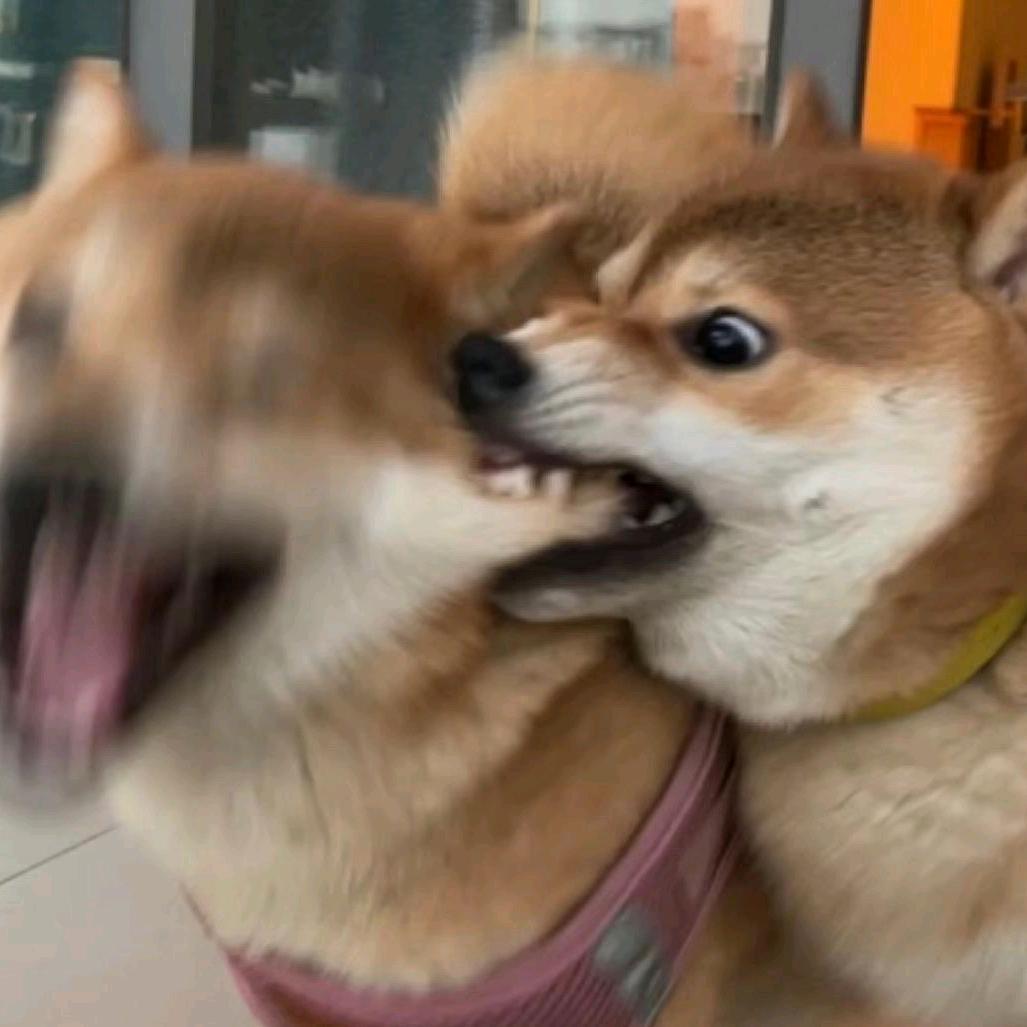 好喂