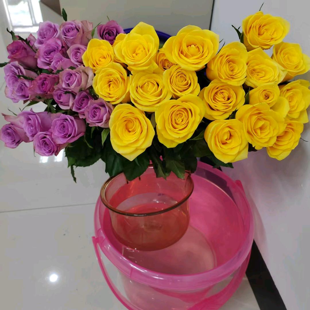 云品鲜切花