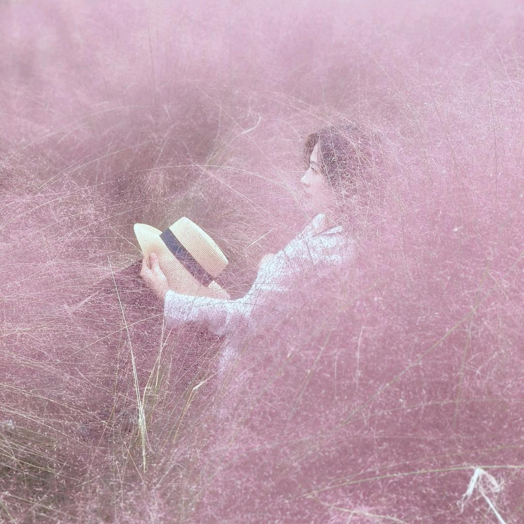 潇洒🌹