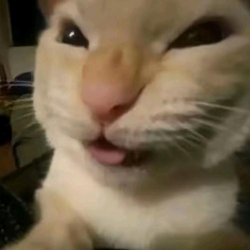 南神