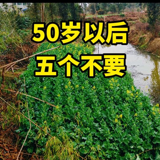 想想这一生。
