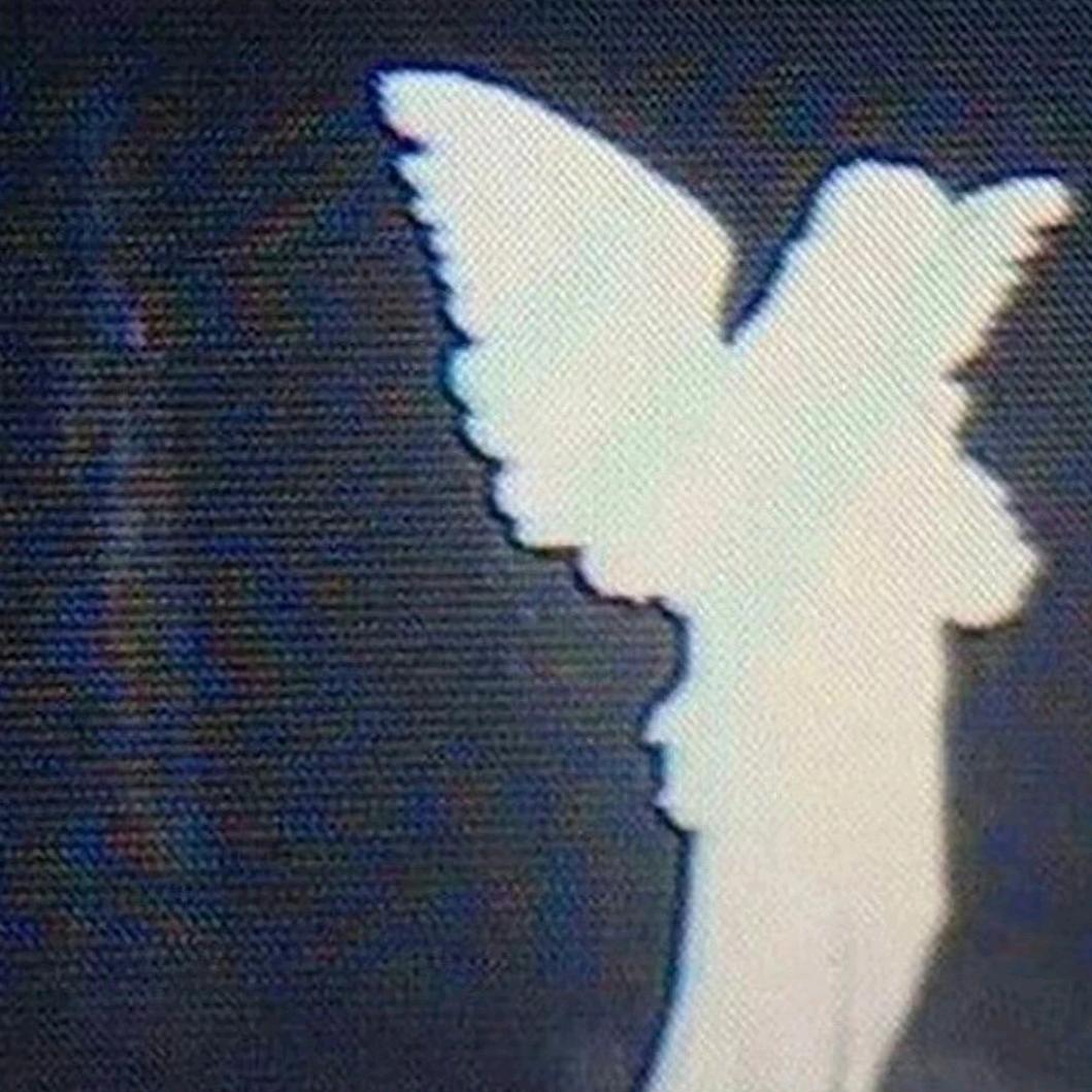 嘀嘀d