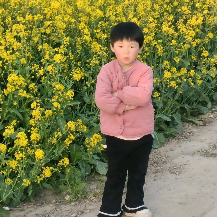 《两龙一凤》老王