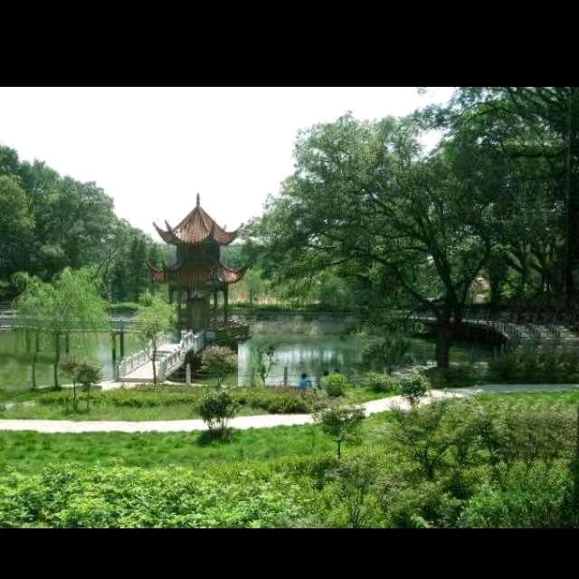 Sleepless Tonight❤️✨