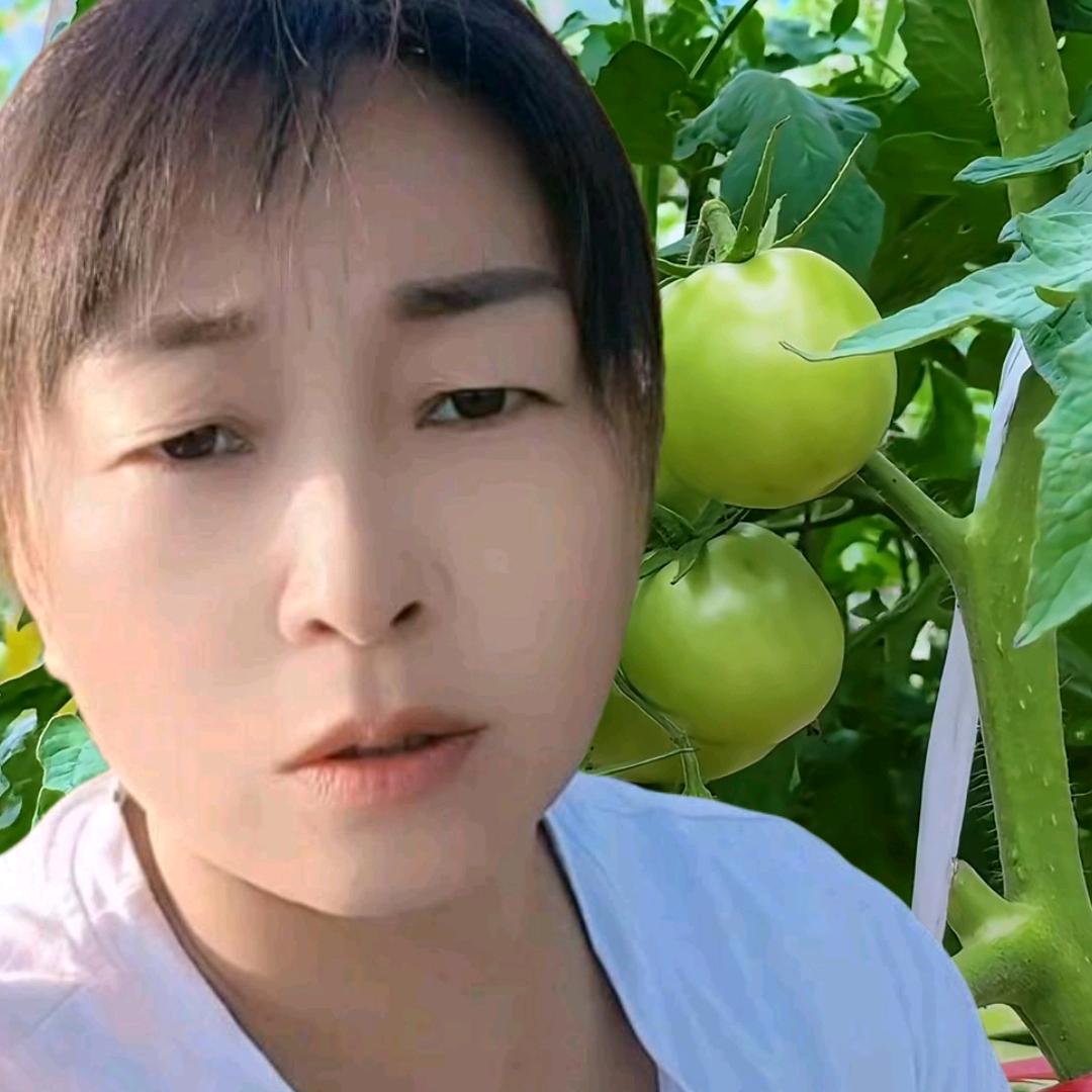 小明农资