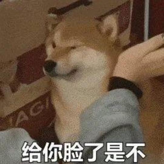 天气朦朦图也萌萌（国服最强朵莉亚）