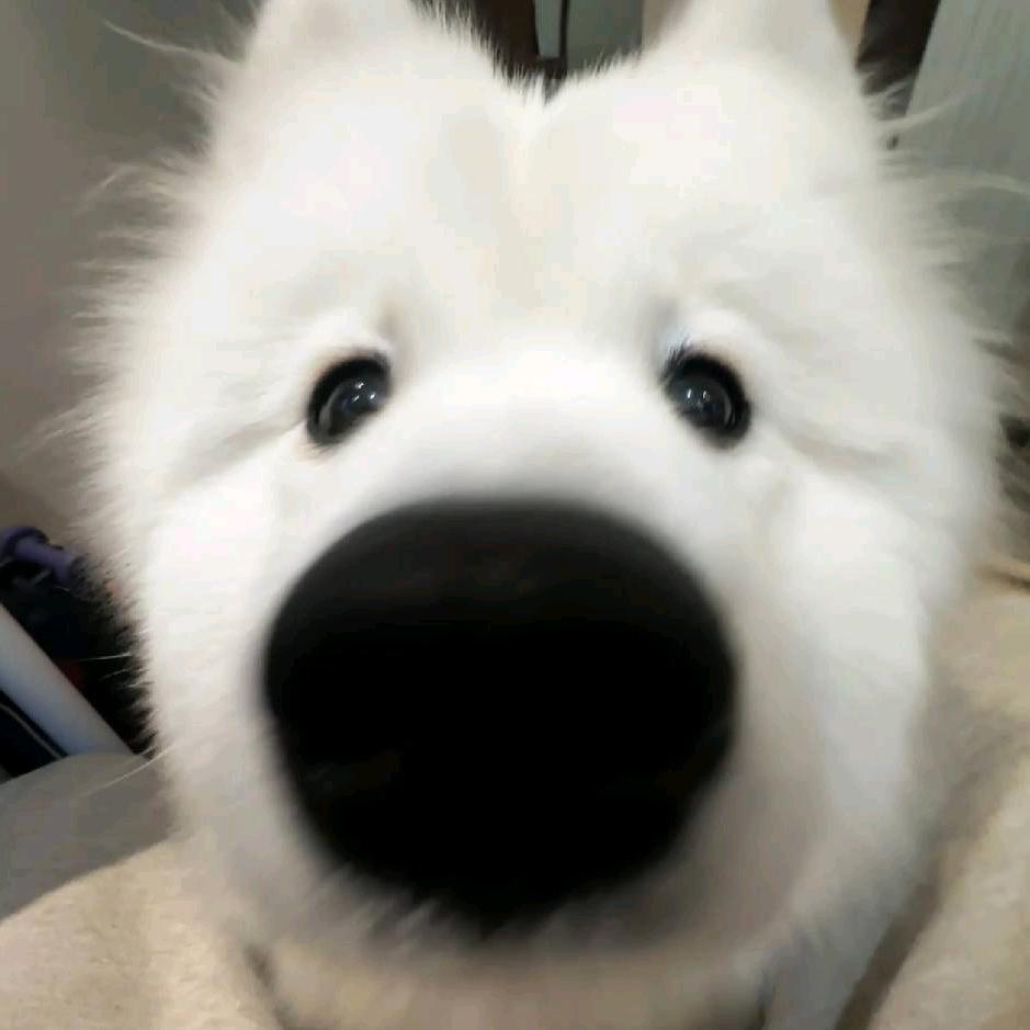 不要久