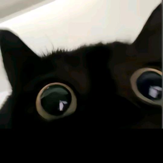 老🃞蔫༽保护你