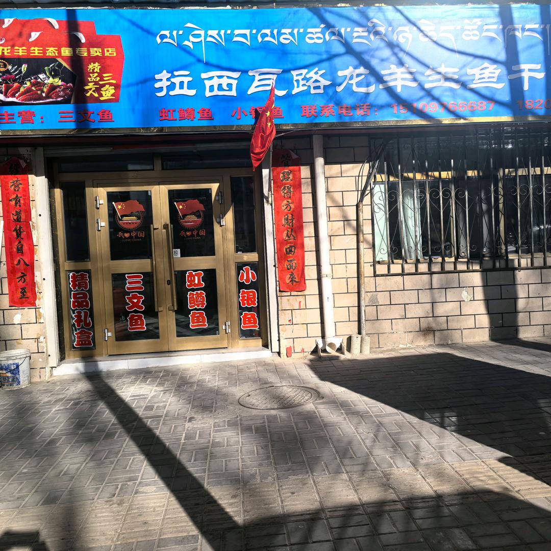 时间冲淡一切龙羊峡三文鱼