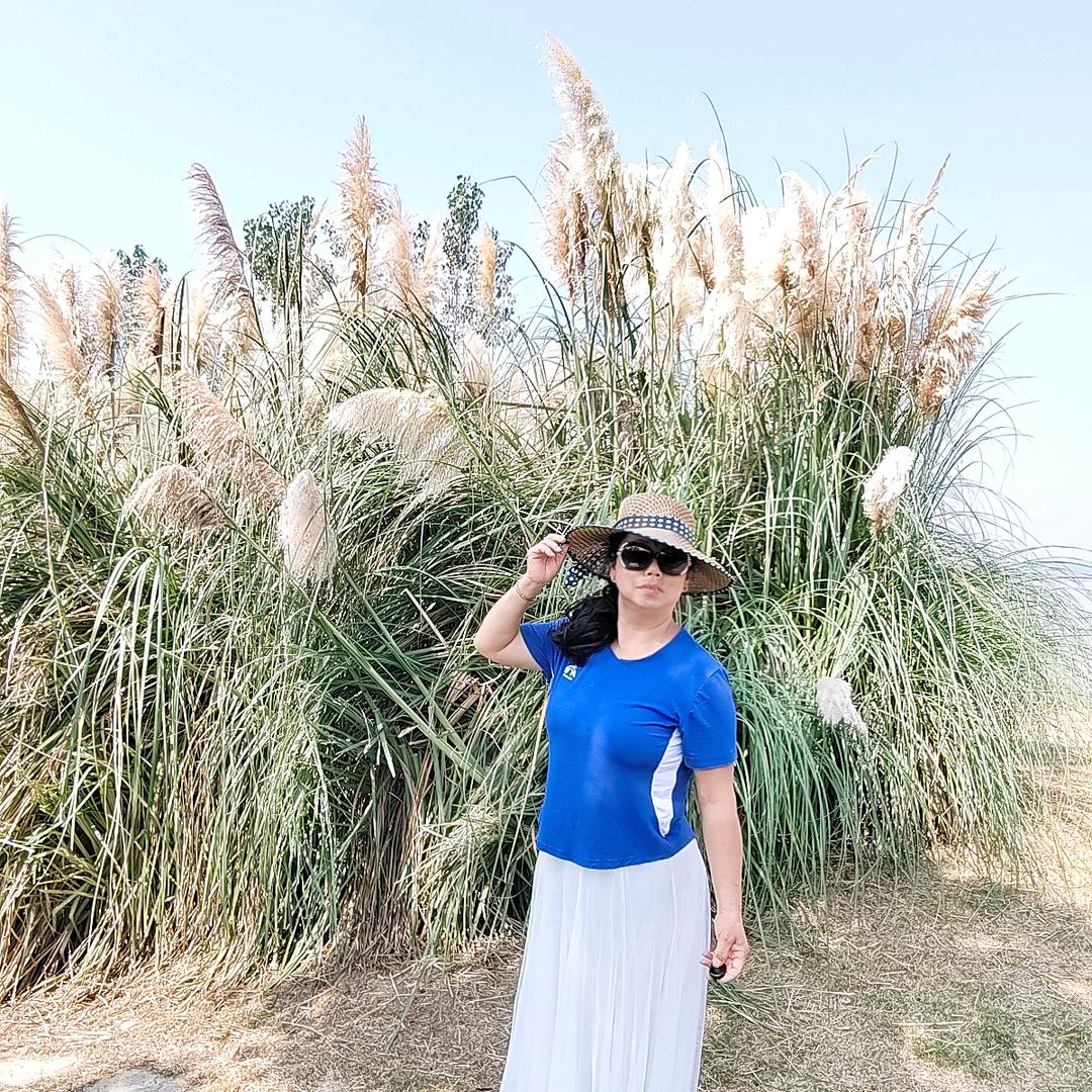 用户我行我素1028