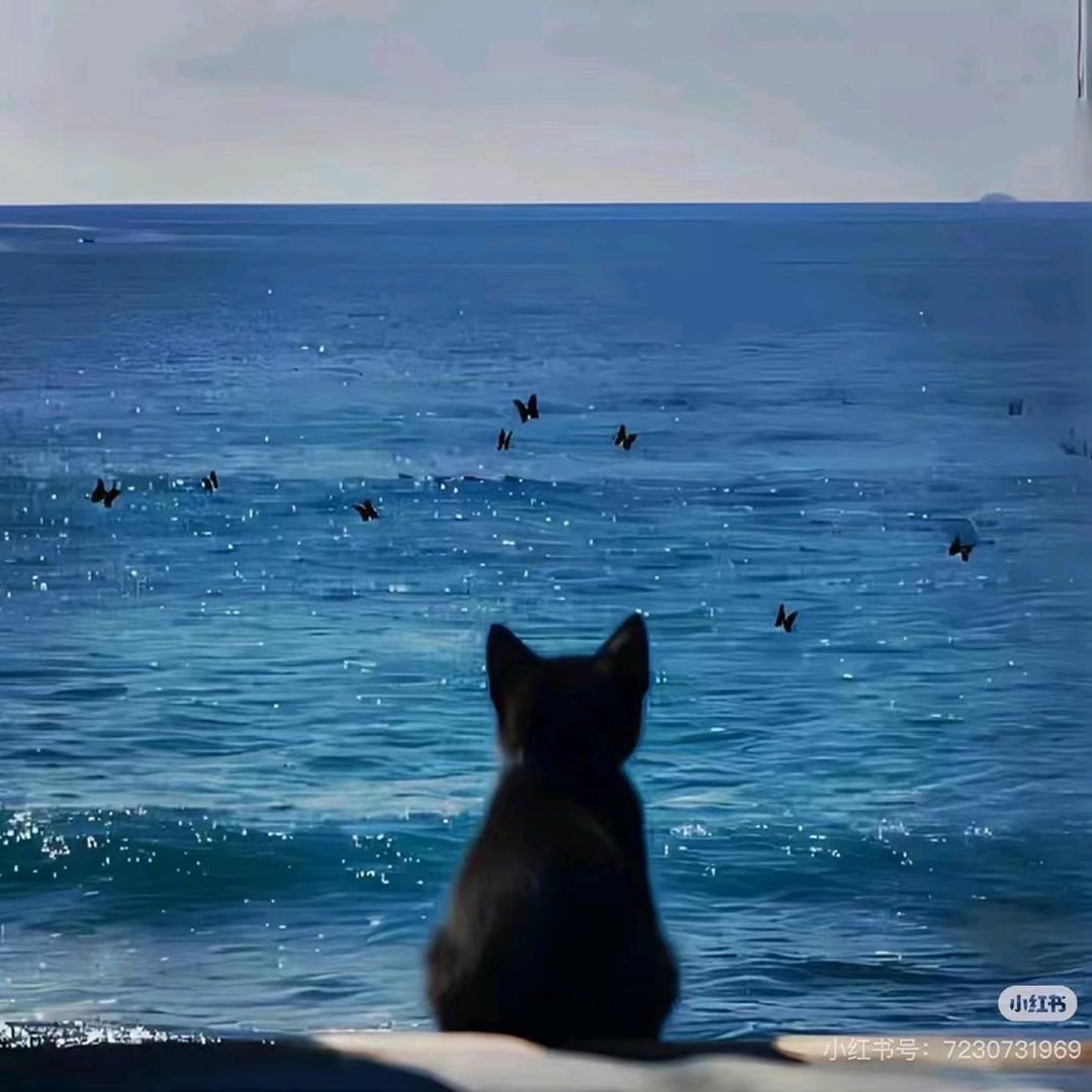 晚晚打🐯🐯🐯