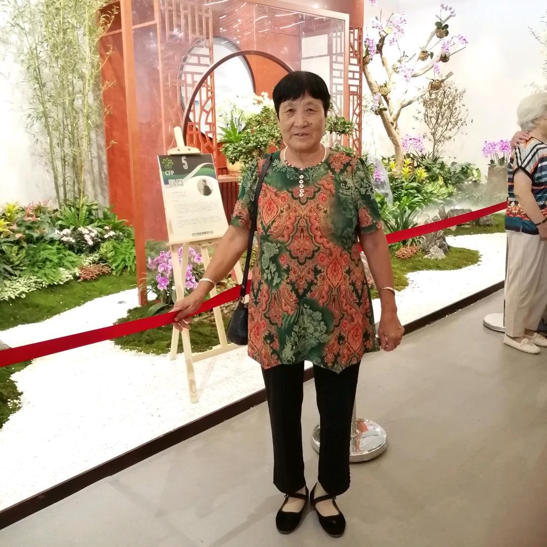 老太君