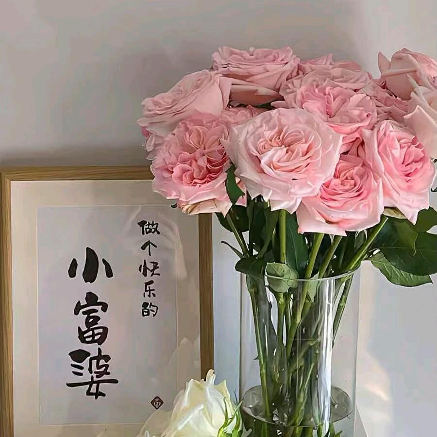 豫之韵花花