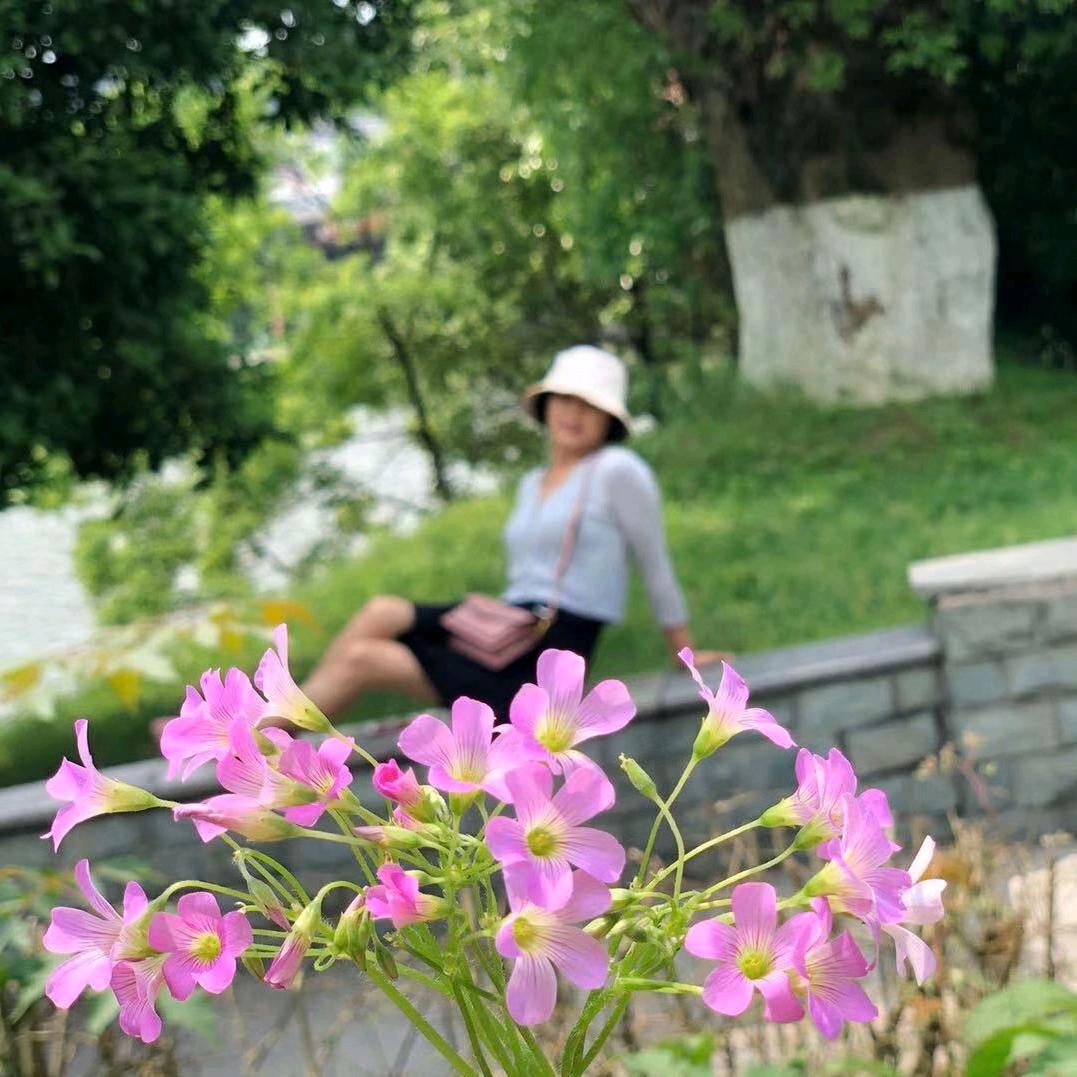 许二姐