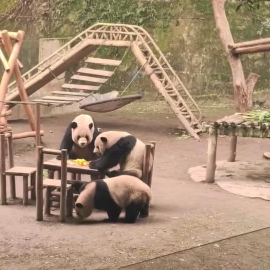 加油，一切都会好起来的。