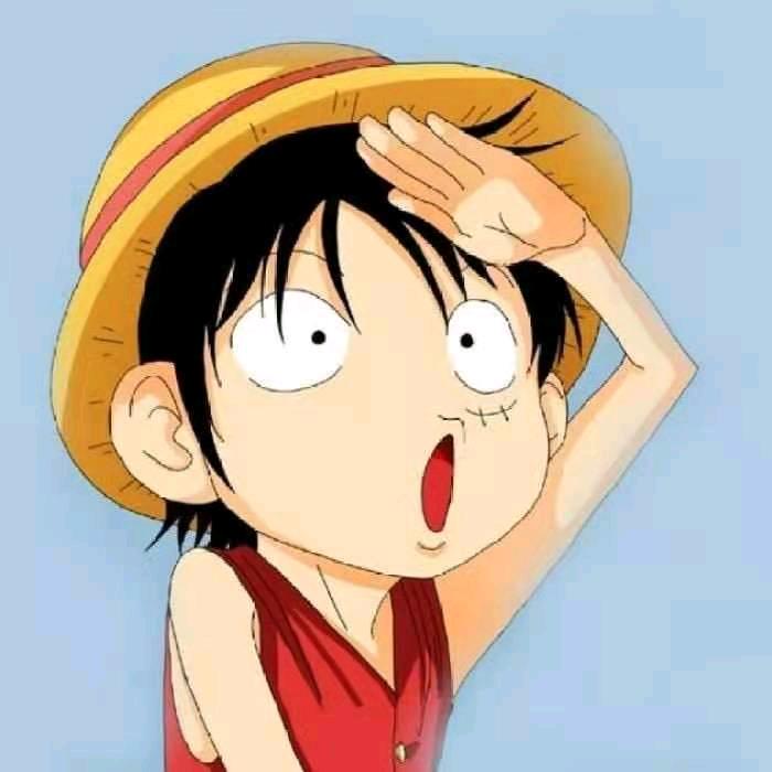 那一份信念与执着