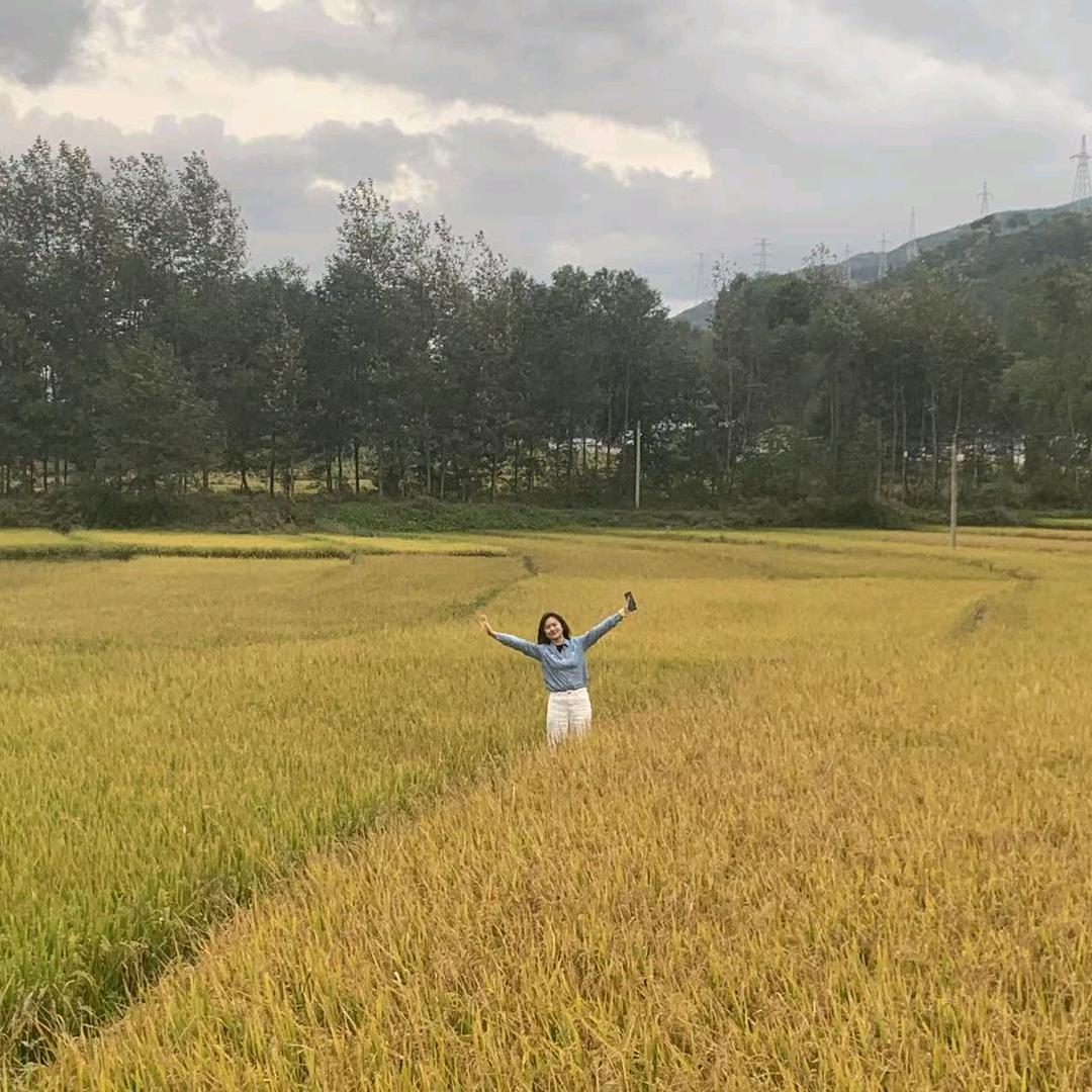 butterfly*兰儿的户外日记