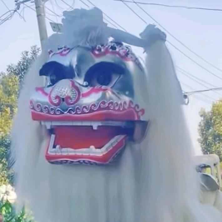 许昌舞狮妹小娟舞狮团