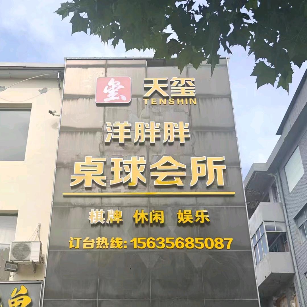 天玺 洋胖胖台球会所