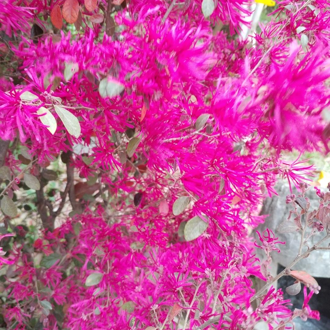 生活败给了现实