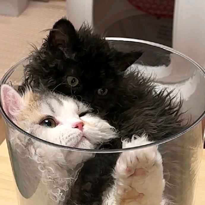 平平无奇小画手