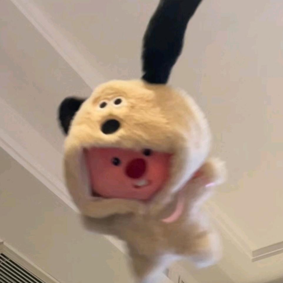 可是你昨晚在我的梦里不是这样说的