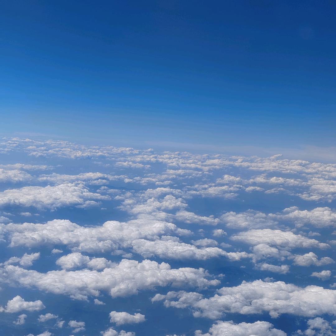 昔昔家的🍄20：00