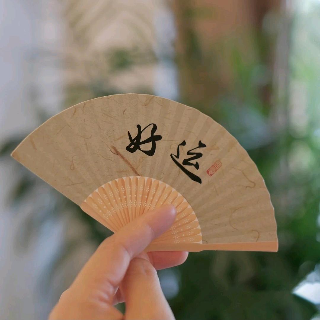 多米小师妹