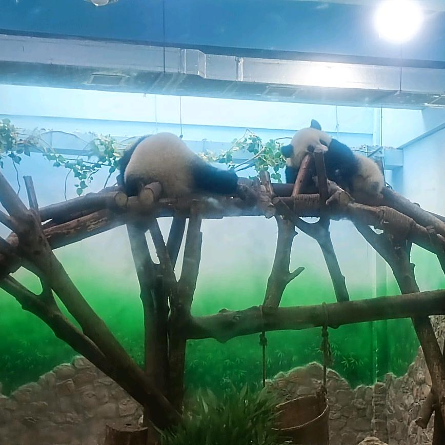 小宝贝美食