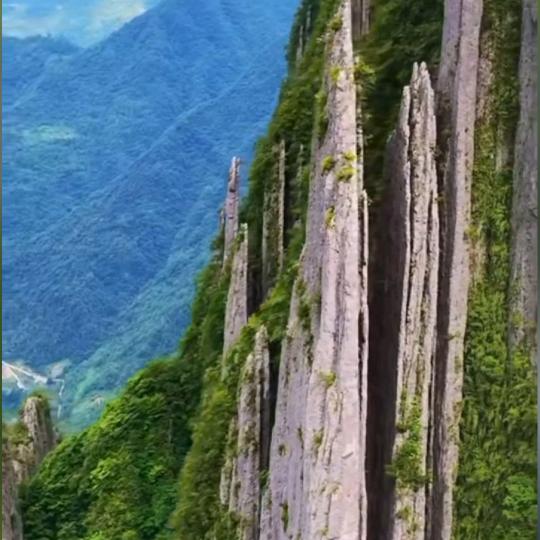 天乐