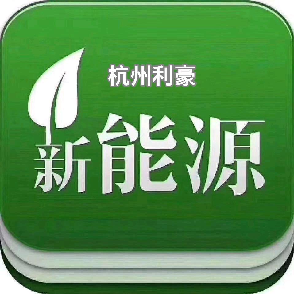 利豪新能源二手车东哥