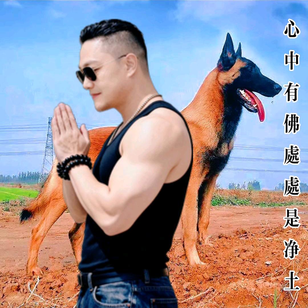 健身爱好者3哥