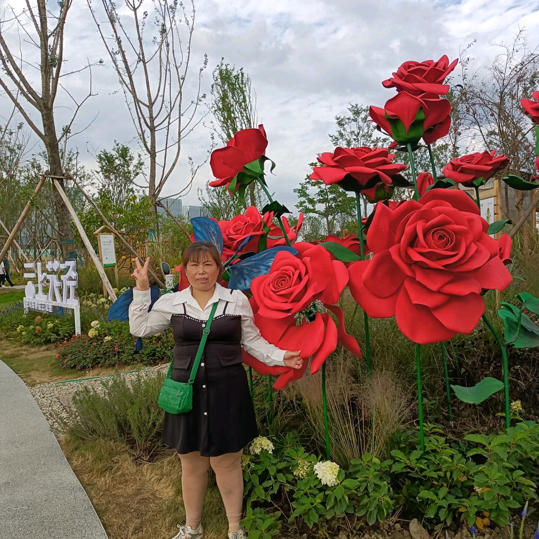 一枝花真心换真情