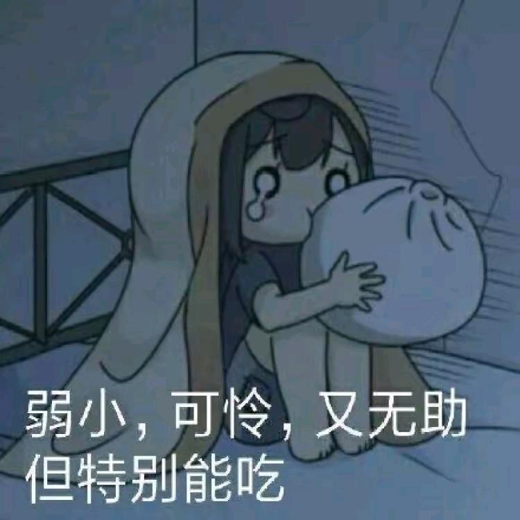 设定程序