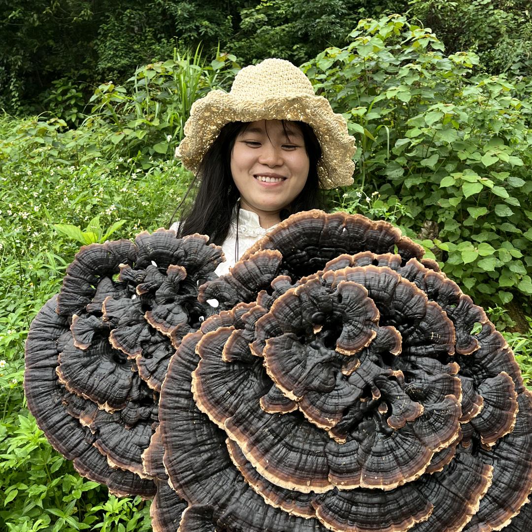 小柯的大山日记