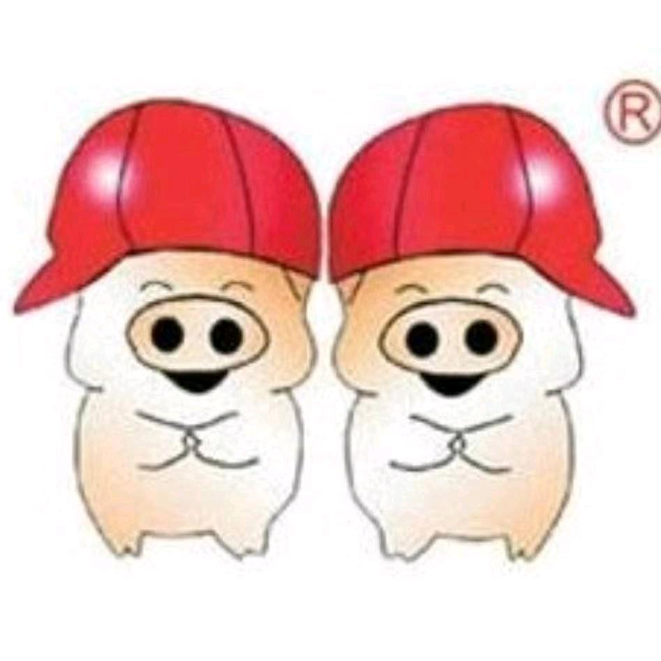双胞胎饲料直销