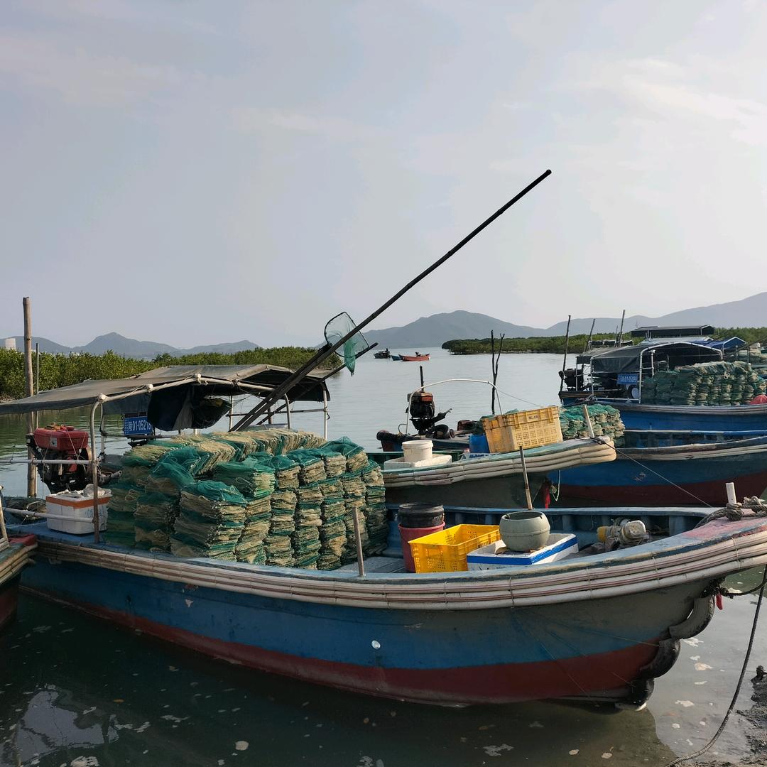 海上奋斗