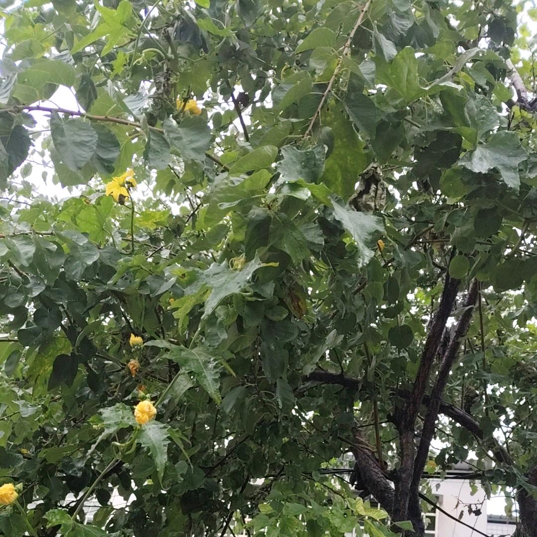 快乐每一天